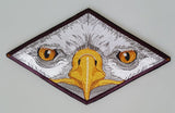 Eagle Eyes Birds of Prey Embroidered Patch 8.5" x 5.1"