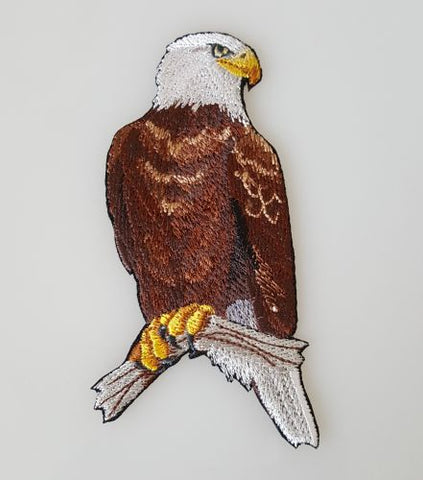 Bald Eagle, Birds of Prey Embroidered Patch