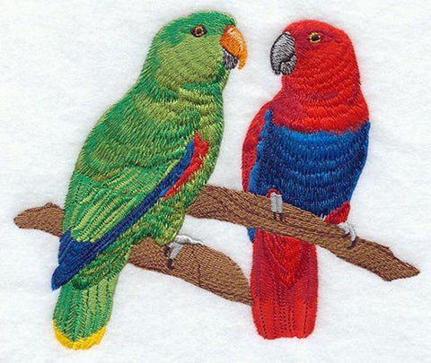 Eclectus Parrots Pair Embroidered Patch 6.5" x 4.5"