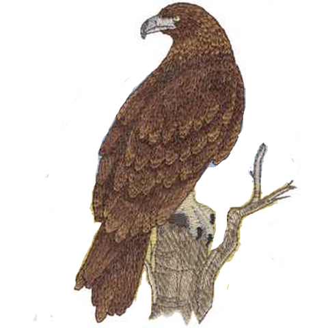Golden Eagle (582) Embroidered Patch  4.5" x 6" Free USA Shipping