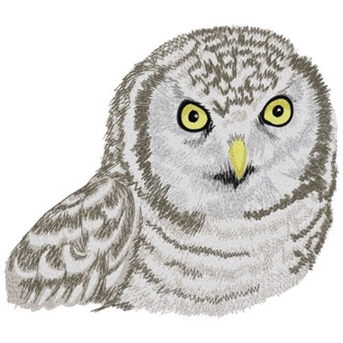 Hawk Owl, Birds of Prey, Embroidered Patch 7"x 6.2"