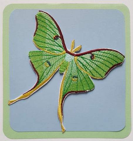 Luna Moth Butterfly Caterpillar Bug Embroidered Patch 3.8" x 3.8" FREE USA SHIPPING