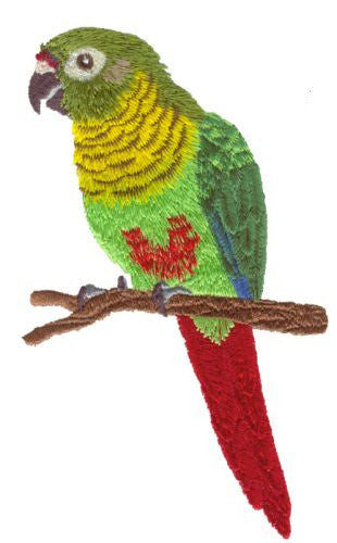 Marooned Bellied Conure, Parrot, Bird  Embroidered Patch 3.6" x 6.3"