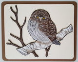Northern Pygmy Owl, Birds of Prey, Embroidered Patch