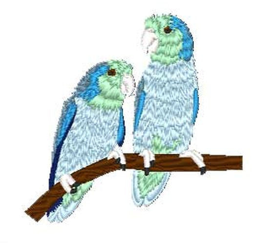Pacific Parrotlets, Bird, Parrot Embroidered Patch 3.2" x 3.1"
