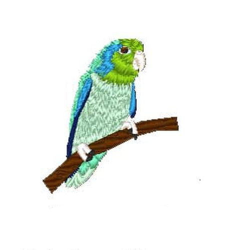 Pacific Parrotlet, Bird, Parrot Embroidered Patch 2.1" x 2.5"