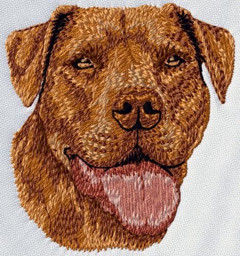 Pitbull Terrier, American Pit Bull Dog Brown Embroidered Patch 3"