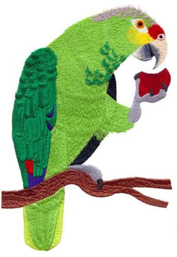 Red-Lored Amazon Parrot Embroidered Patch