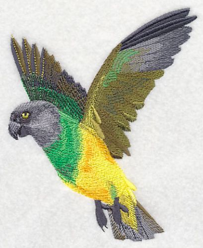 Senegal Parrot Flying Embroidered Patch