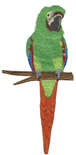 Severe Macaw, Mini Macaw, Parrot Embroidered Patch