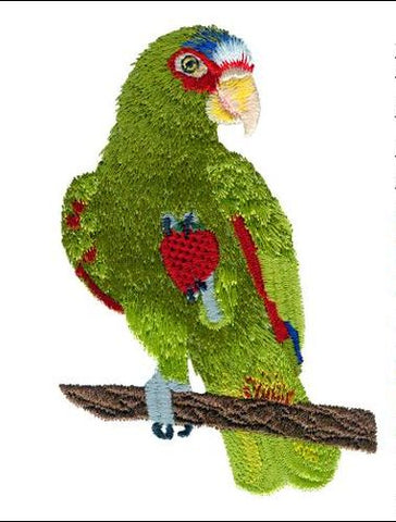 White Fronted, Spectacled, Amazon, Parrot Bird Embroidered Patch 3" x 4.6"