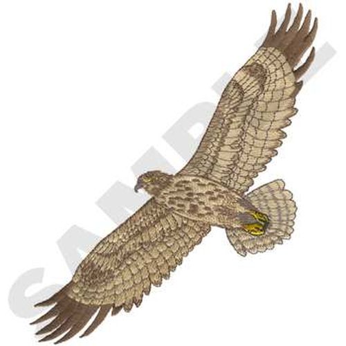 Hawk Embroidered Patch 6.7" x  9.7"