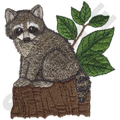 Raccoon Baby Embroidered Patch 3.4" x 3.7