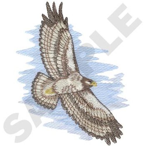 Hawk Embroidered Patch 4.9" x  6.3"