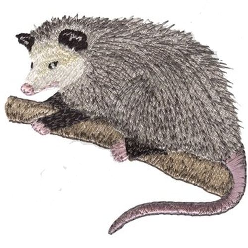 Opossum Embroidered Patch 3.6" x 3.4" Free USA Shipping