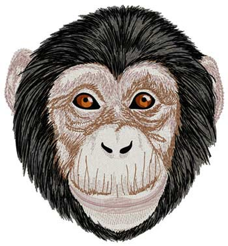 Chimpanzee Embroidered Patch 5" x 5.2" Free USA Shipping