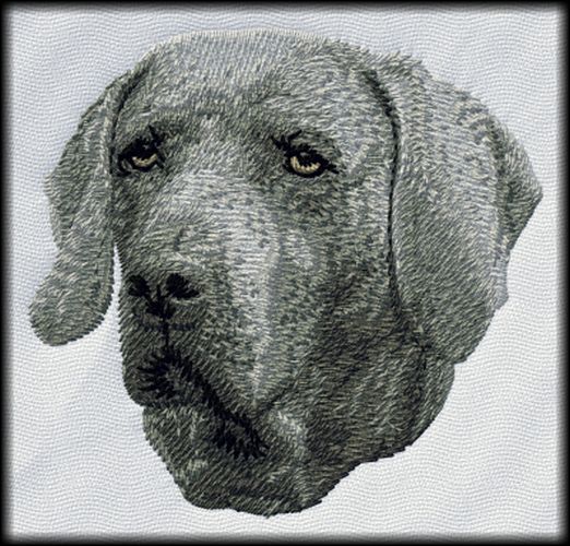 Weimaraner Dog Embroidered Patch 3"