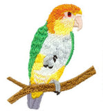 White Bellied Caique,, Parrot Bird Embroidered Patch