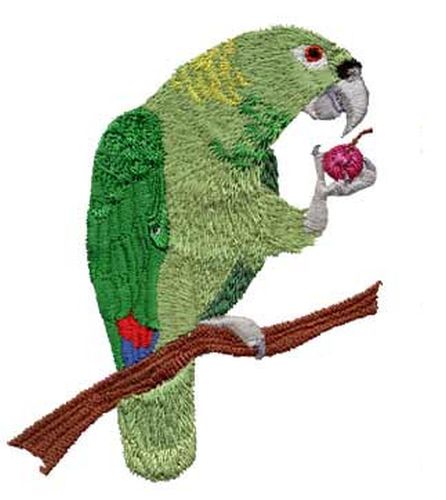 Yellow Naped Amazon Parrot Embroidered Patch 3.7" x 4.6