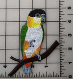 Black Capped Caique, Black Headed Caique Embroidered Patch