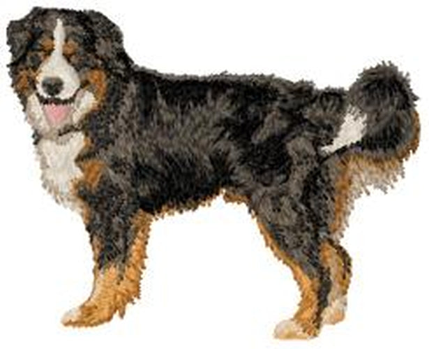 Bernese Mountain Dog (Full Body) Embroidered Patch (3.1 Inches Tall)