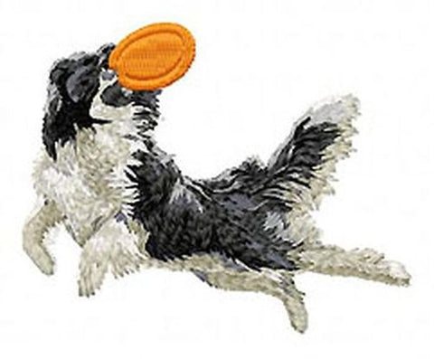Border Collie, Agility Embroidered Patch 3"