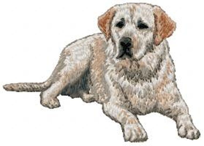 Labrador Retriever Dog, Embroidered Patch 2.9"