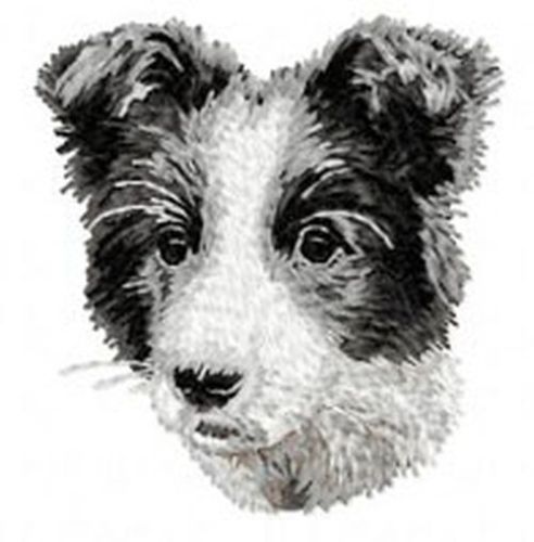 Border Collie Puppy Embroidered Patch 3.1"