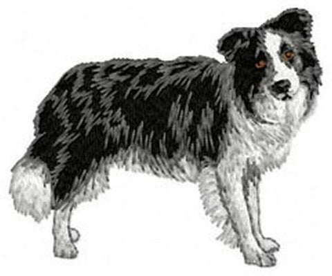 Border Collie Dog Embroidered Patch 2.9"