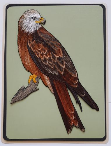 Red Kite Perching Raptors Buzzard Harriers Embroidered Patch