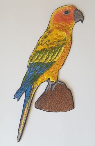 Sun Conure Embroidered Patch Free USA Shipping