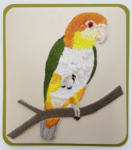White Bellied Caique,, Parrot Bird Embroidered Patch
